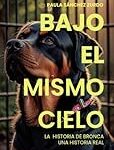 Bajo el mismo cielo: Análisis y Comparativa de las Mejores Narrativas en la Literatura Actual