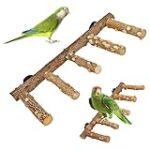 Explorando la 'Escalera del Cielo': Análisis Comparativo de los Mejores Libros Espirituales que Transforman Vidas