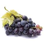Uvas Negras: Un Análisis Comparativo de los Mejores Libros sobre Vinos y su Impacto en la Literatura